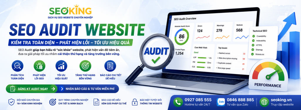 SEO AUDIT WEBSITE